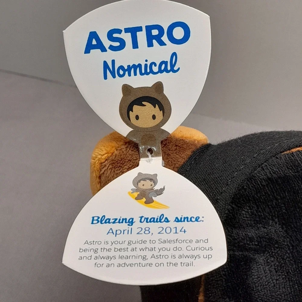 Salesforce Trailblazer Astro Raccoon Plush 8